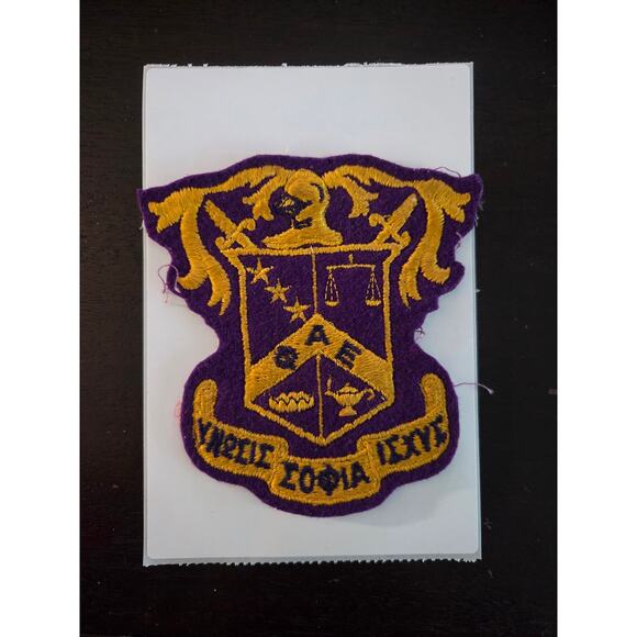 Vintage 50s-70s Phi Alpha Epsilon Greek Crest Patch 4.5" Felt Collegiate - Picture 1 of 4